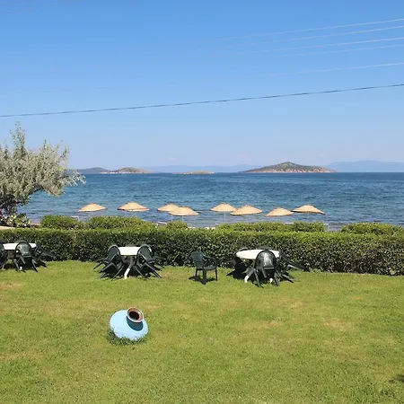 Ege & Ayvalı