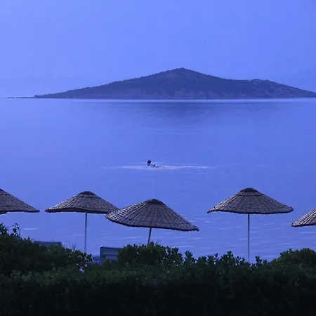 Ege & Ayvalik
