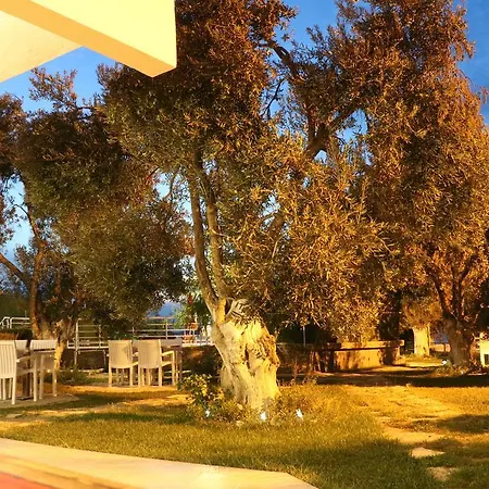 Guest house Ege & *