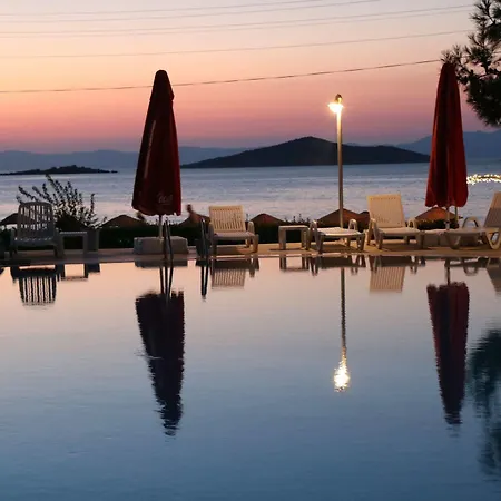 Ege & Guest house