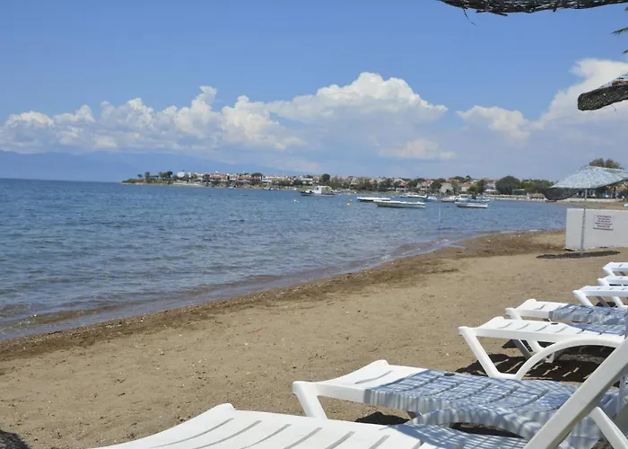 招待所 Ege & Ayvalı