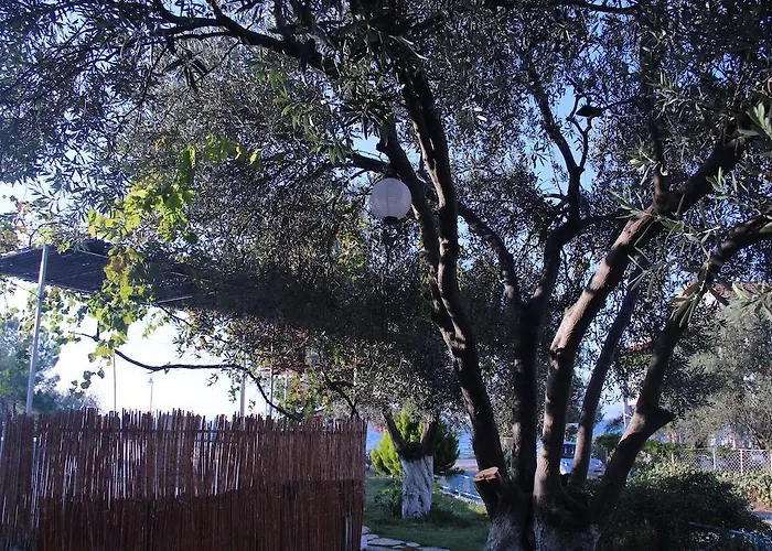 게스트하우스 Ege & 4*