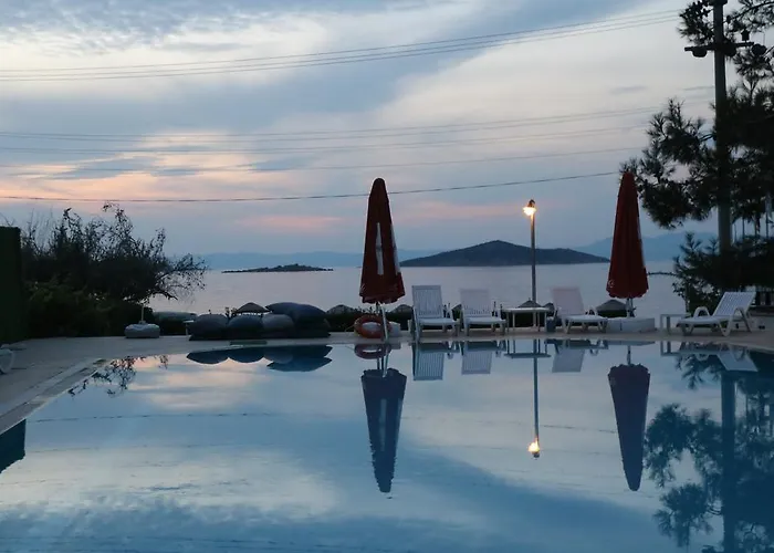 招待所 Ege & Ayvalı